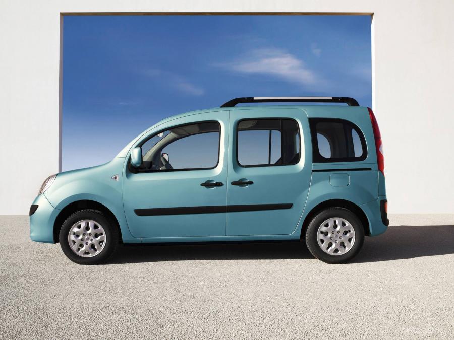  Renault Kangoo 2008 года  (фото 50 из 59)